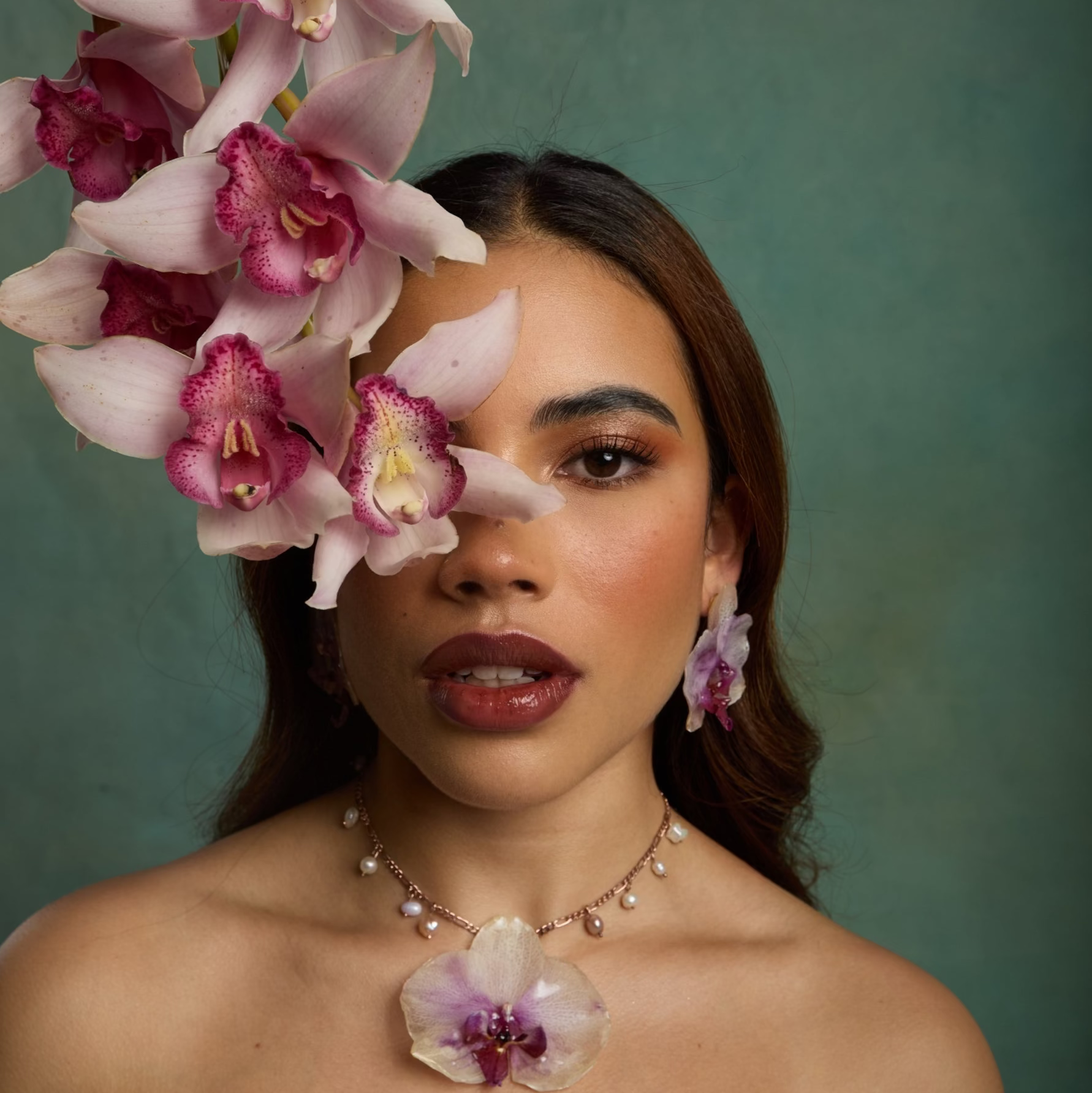 Phalaenopsis Rose gold